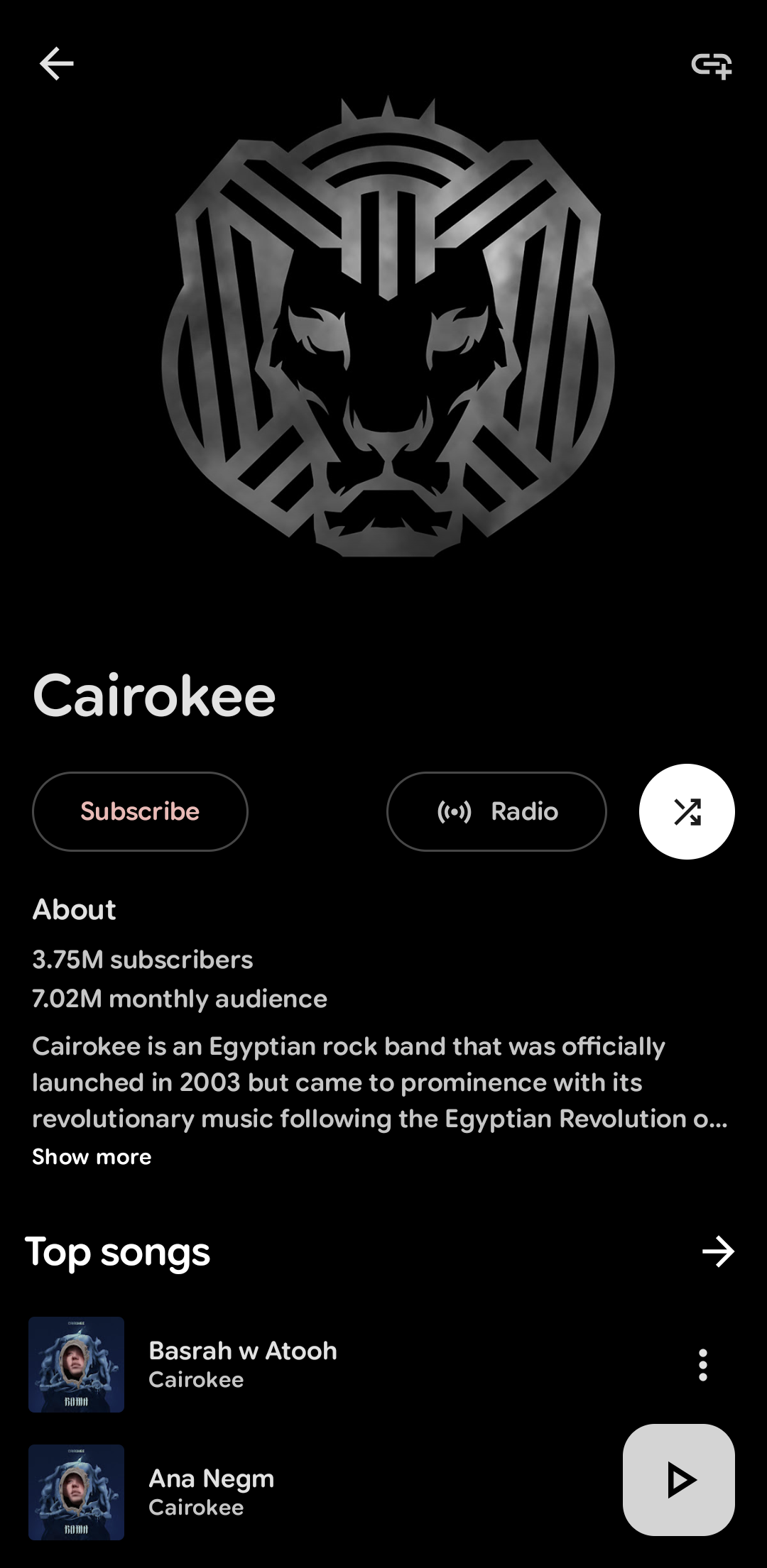 Artist profile screen in Metrolist